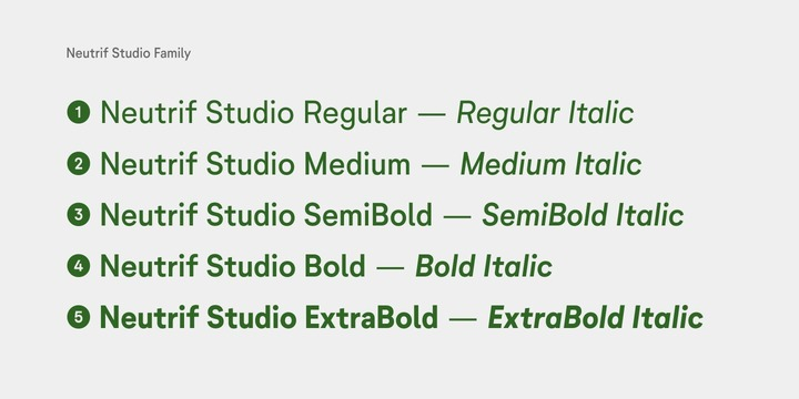 Przykład czcionki Neutrif Studio Medium Italic